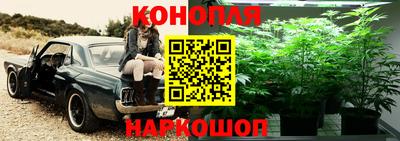 мяу мяу мука Гай