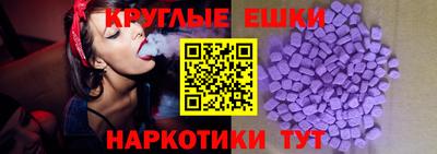 мяу мяу мука Гай