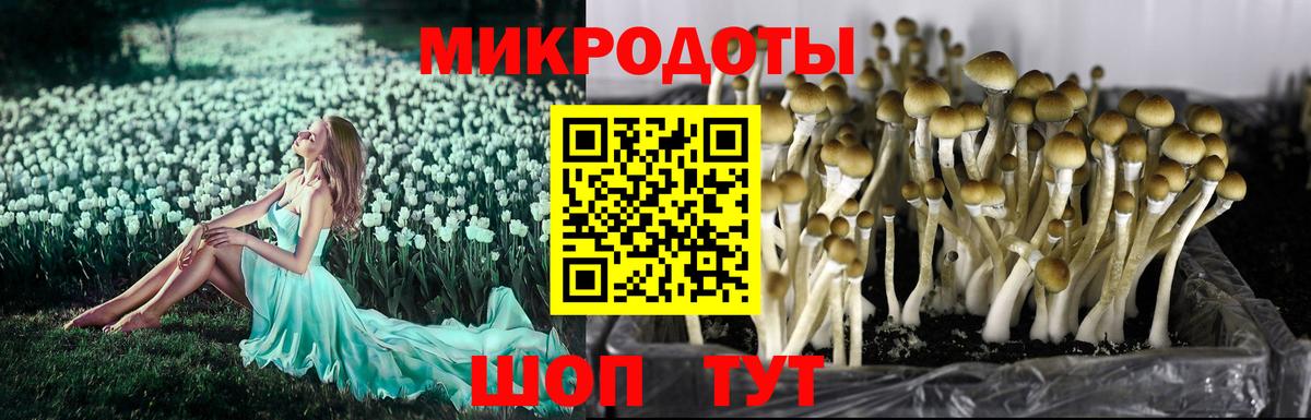 Галлюциногенные грибы Cubensis  Вход с VPN  где найти   Качканар 