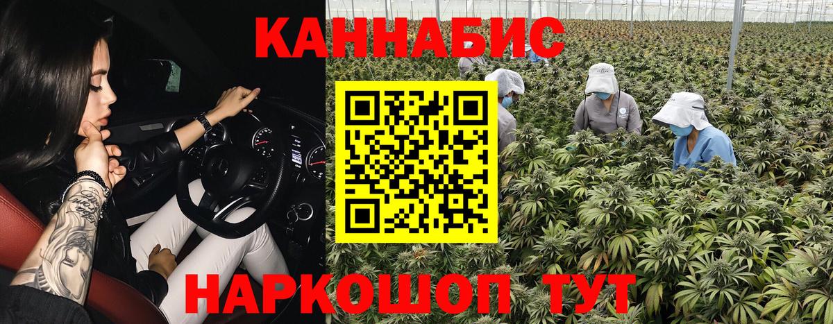 Конопля Ganja  Вход с VPN  МАРИХУАНА сатива  Качканар 